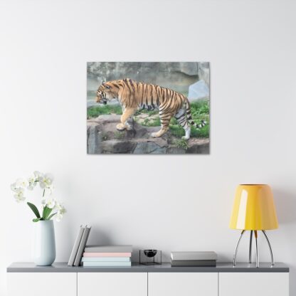 Tiger Classic Stretched Canvas