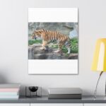 Tiger Classic Stretched Canvas