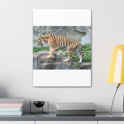 Tiger Classic Stretched Canvas - Image 11