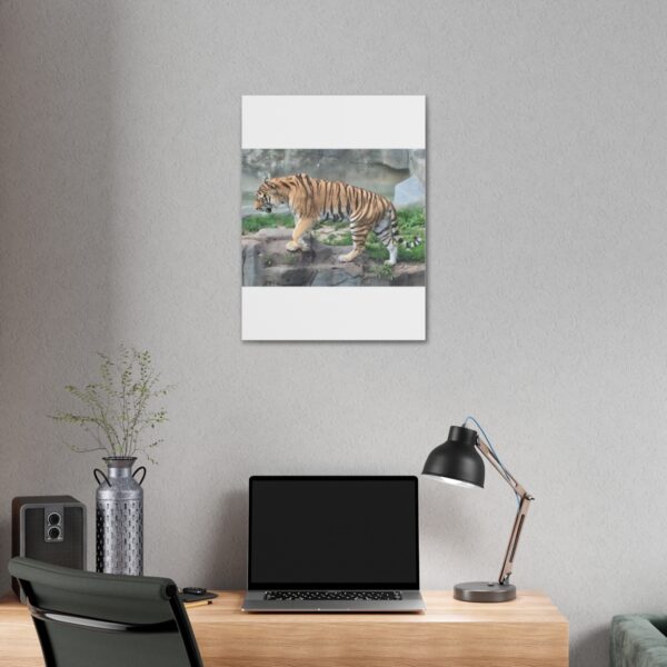 Tiger Classic Stretched Canvas - Image 12